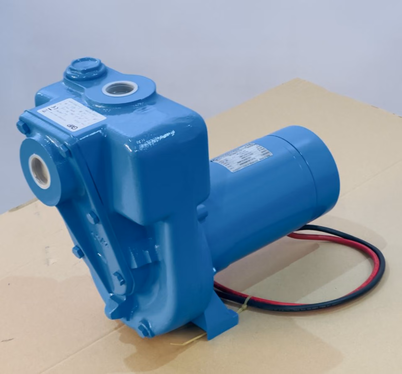 Blaue Bronzepumpe mit Elektromotor